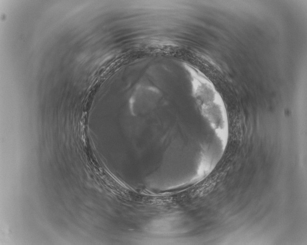 X0000059851013200511181533