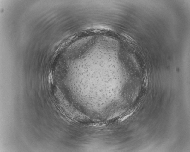 X0000059851014200511181533