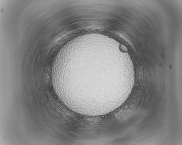 X0000059851015200511181533