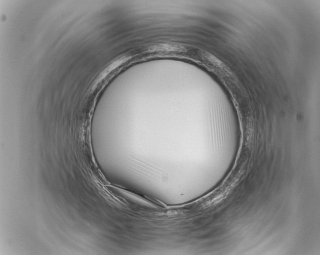 X0000059851017200511181533