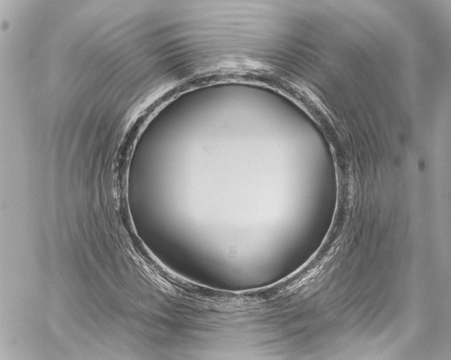 X0000059851018200511181533