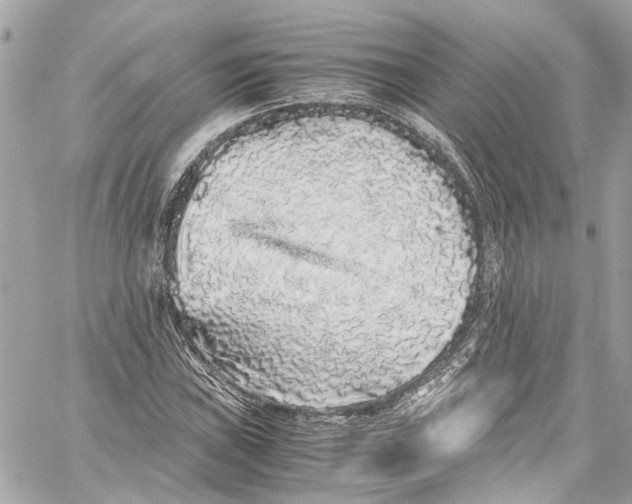 X0000059851019200511181533