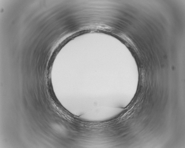 X0000059851020200511181533