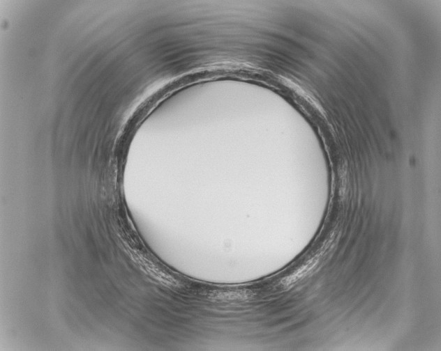 X0000059851021200511181533