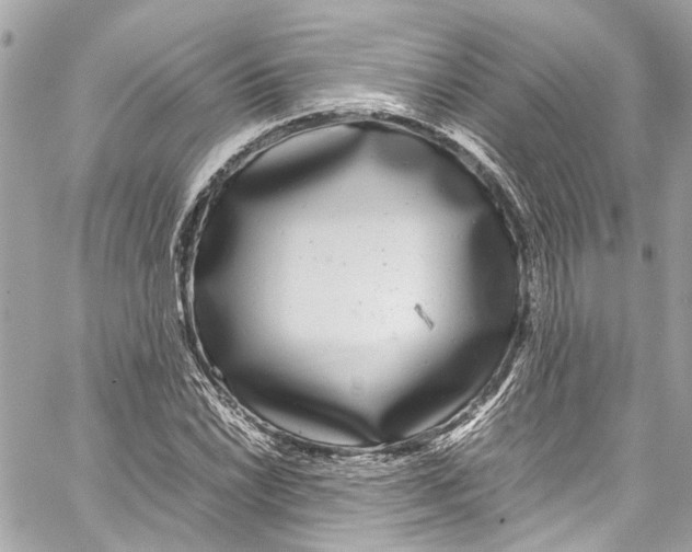 X0000059851022200511181533