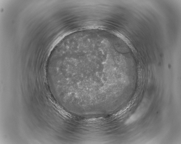 X0000059851023200511181533