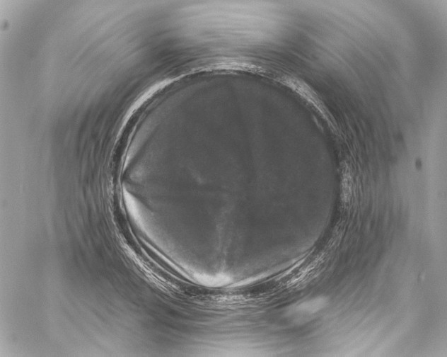 X0000059851024200511181533