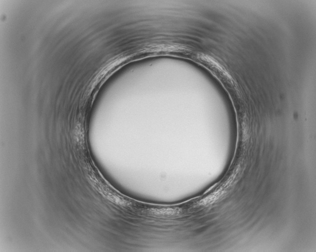 X0000059851025200511181533