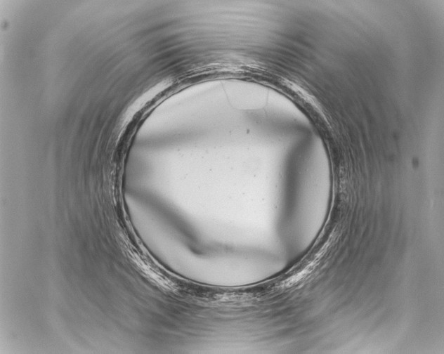 X0000059851026200511181533