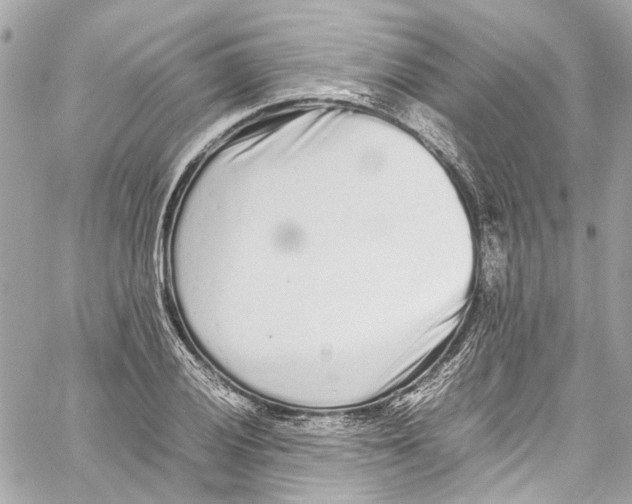 X0000059851028200511181533