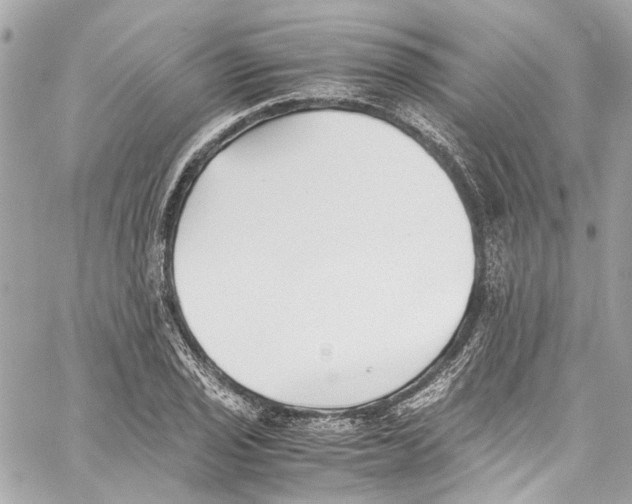 X0000059851029200511181533