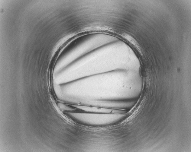 X0000059851030200511181533