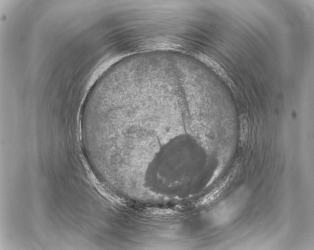 X0000059851031200511181533