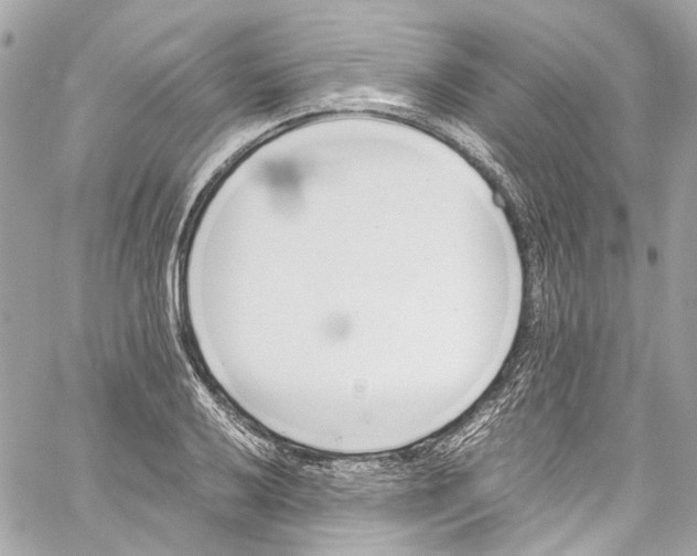 X0000059851032200511181533