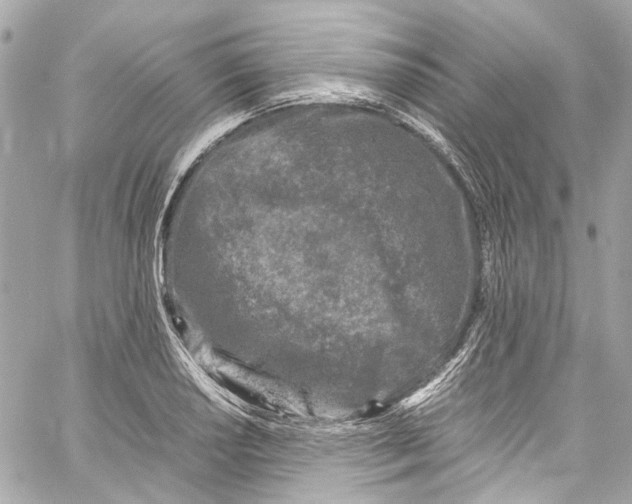 X0000059851034200511181533