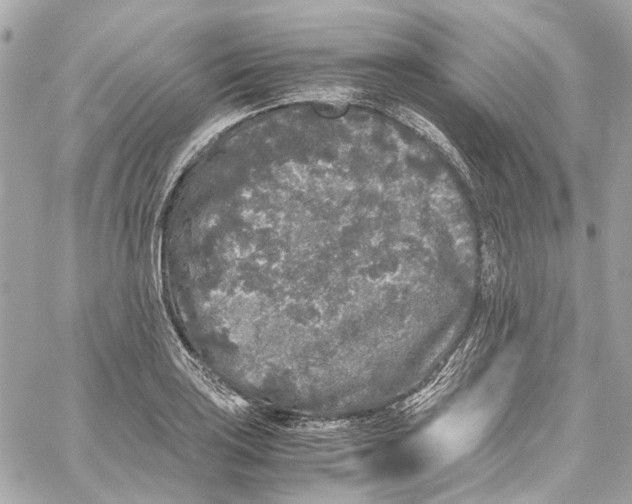 X0000059851035200511181533