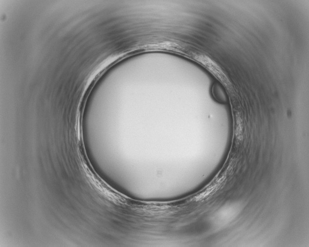 X0000059851036200511181533