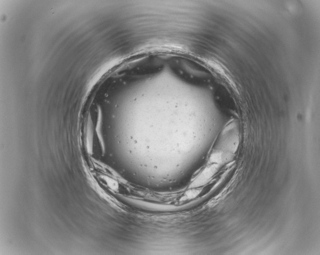 X0000059851038200511181533