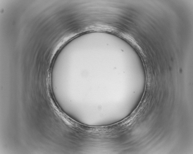 X0000059851040200511181533