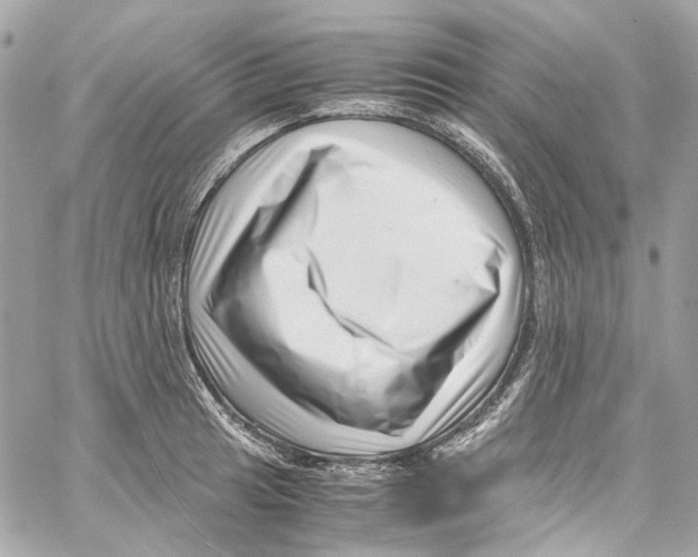 X0000059851041200511181533