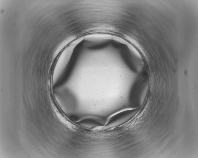 X0000059851042200511181533