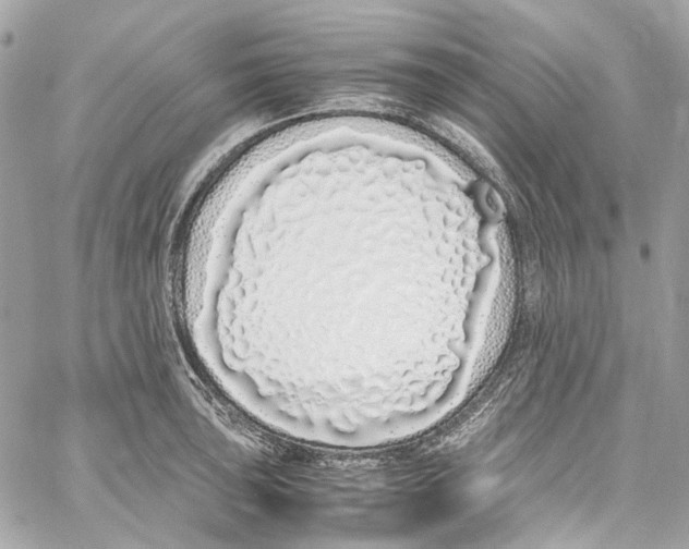 X0000059851043200511181533