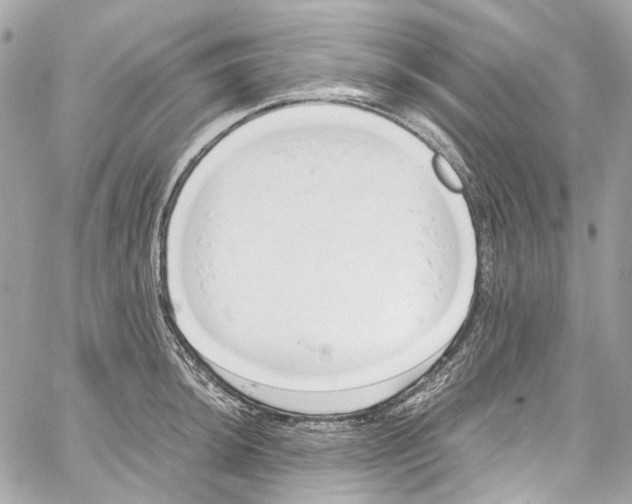 X0000059851044200511181533