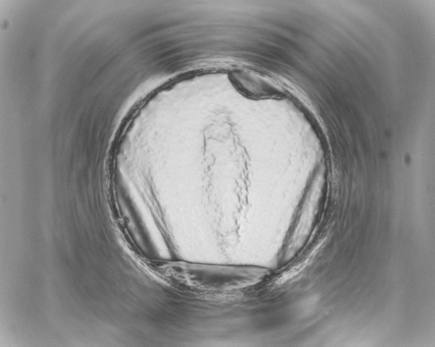 X0000059851045200511181533