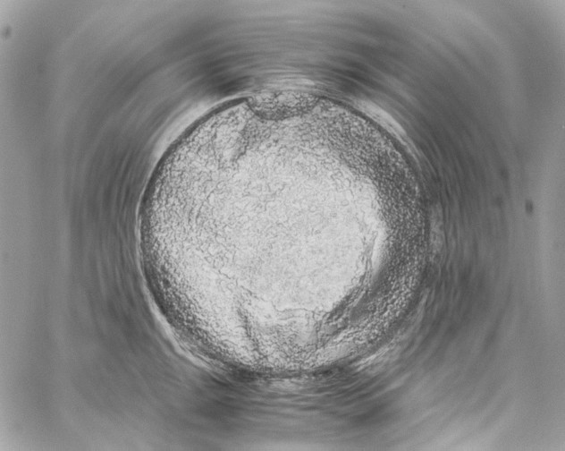 X0000059851047200511181533