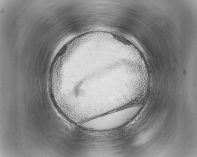 X0000059851048200511181533