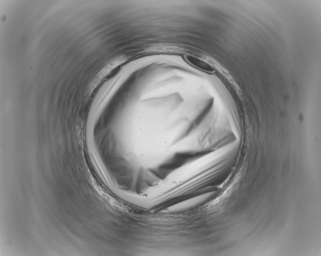 X0000059851049200511181533