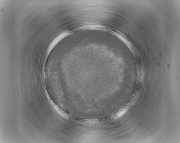 X0000059851050200511181533