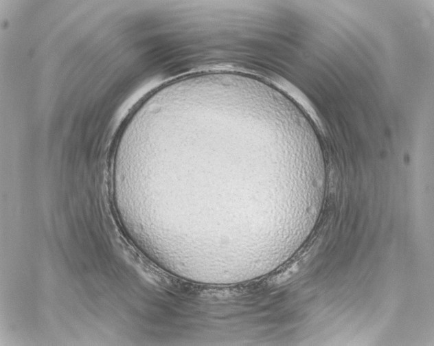 X0000059851051200511181533