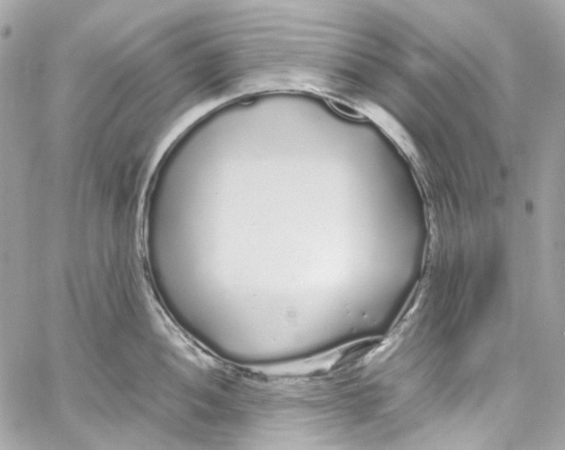 X0000059851052200511181533