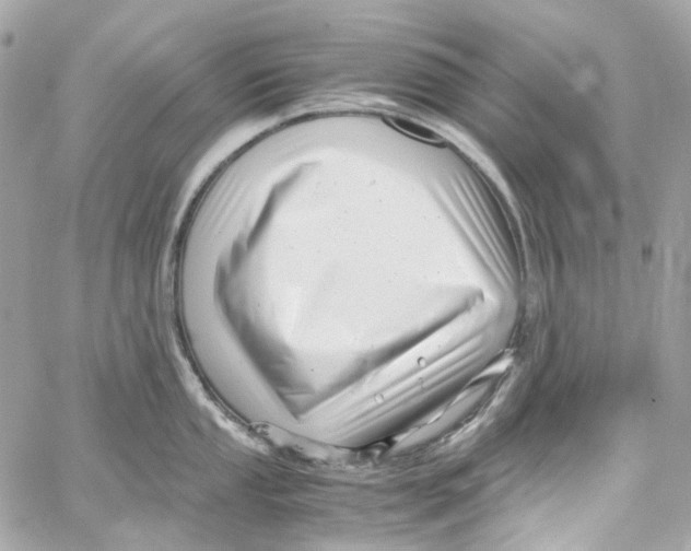 X0000059851053200511181533