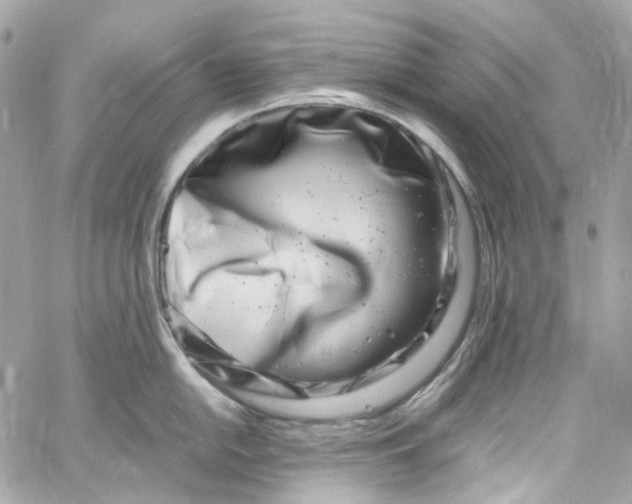 X0000059851054200511181533