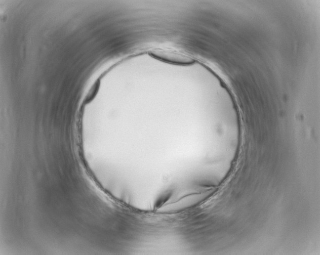 X0000059851056200511181533