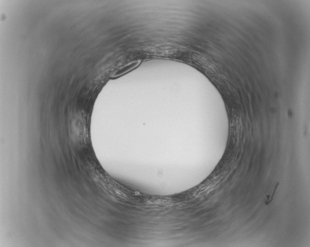 X0000059851058200511181533