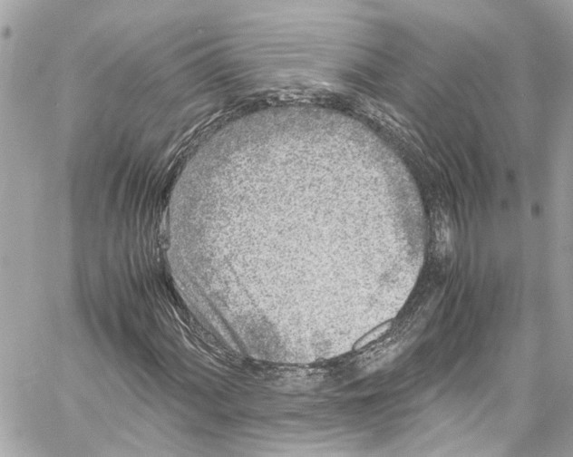 X0000059851060200511181533