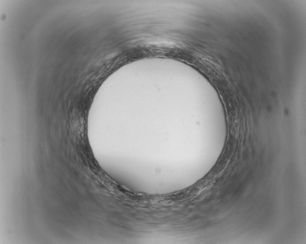 X0000059851061200511181533