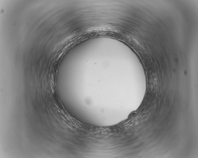 X0000059851062200511181533