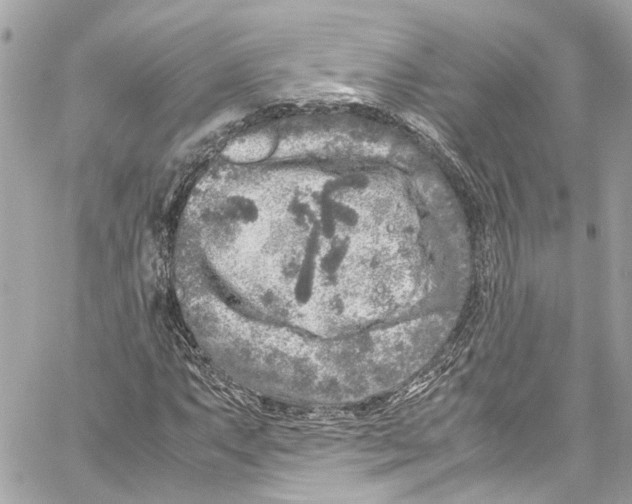 X0000059851063200511181533