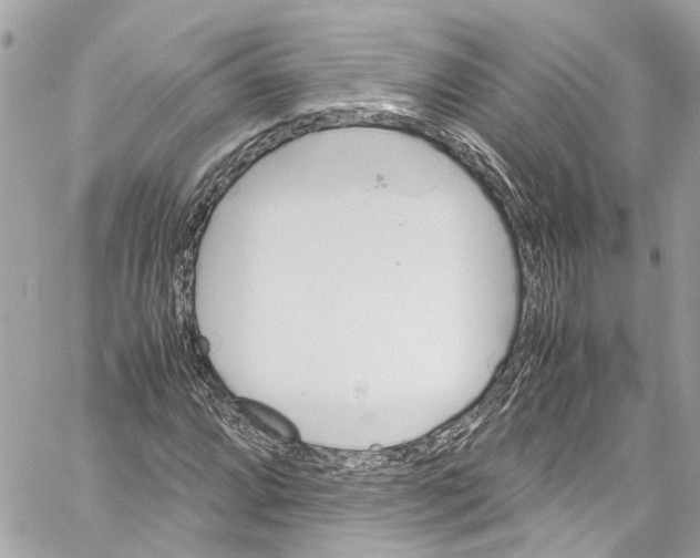 X0000059851064200511181533