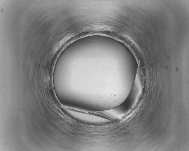 X0000059851065200511181533