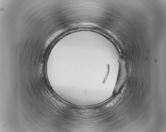 X0000059851066200511181532