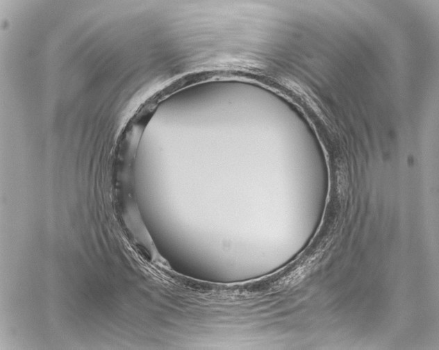 X0000059851069200511181532