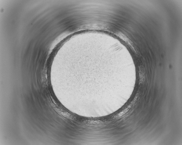 X0000059851070200511181532