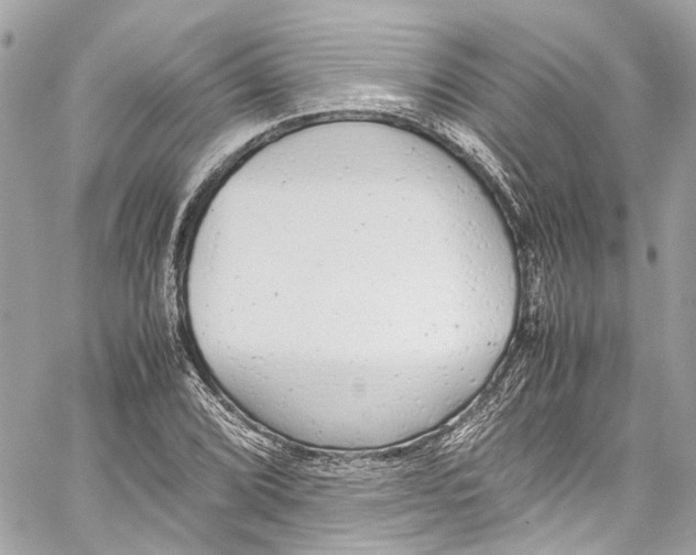 X0000059851072200511181532