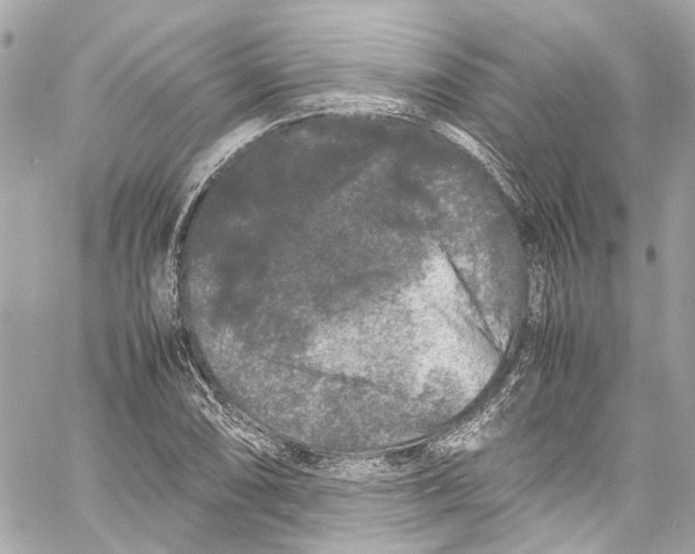 X0000059851074200511181532