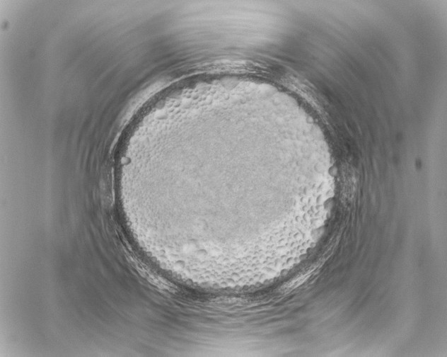 X0000059851075200511181532